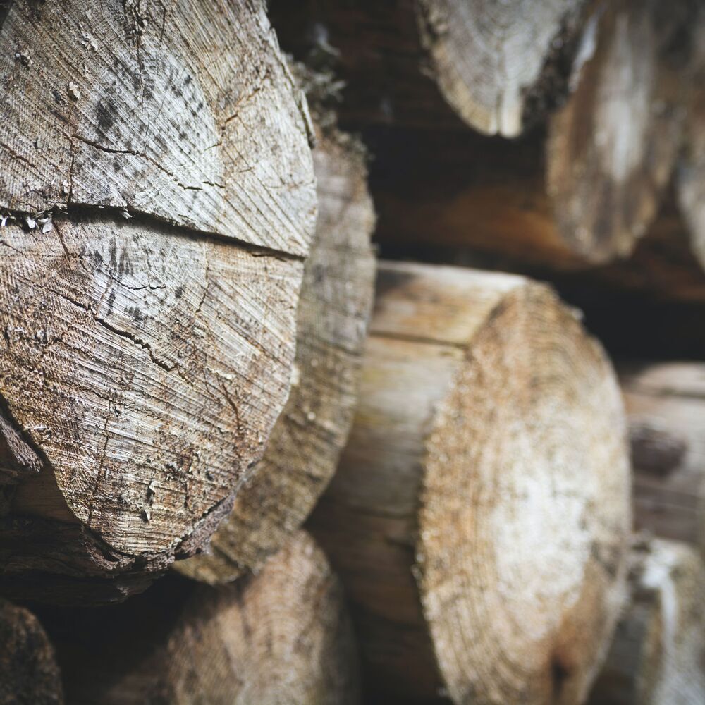 Holzbau Friedrich Sägewerk